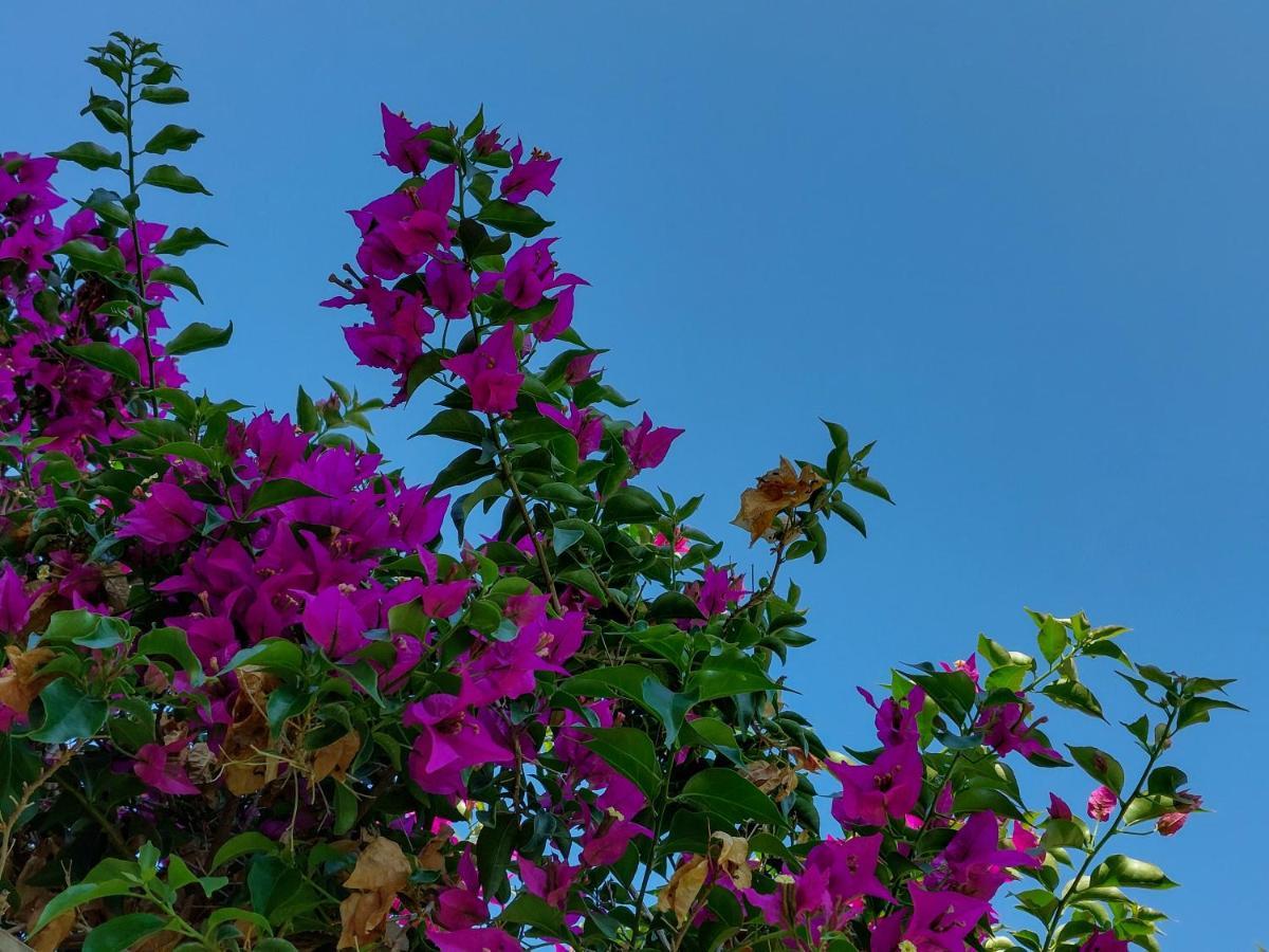 Africa Posada Ξενοδοχείο Pinamar Εξωτερικό φωτογραφία